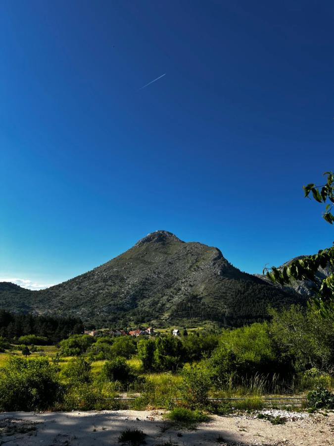 Glamping Lovcen Njegusi Exterior foto